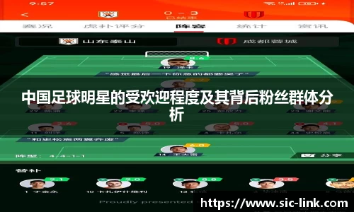 中国足球明星的受欢迎程度及其背后粉丝群体分析