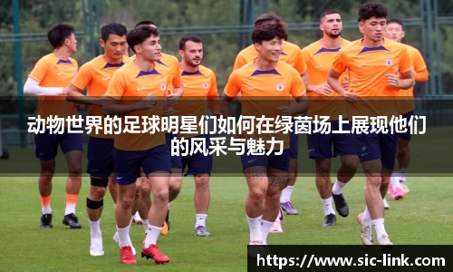 动物世界的足球明星们如何在绿茵场上展现他们的风采与魅力