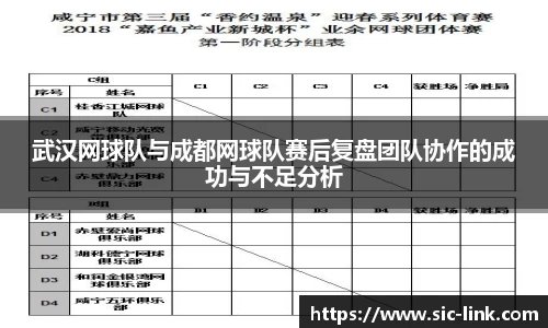 武汉网球队与成都网球队赛后复盘团队协作的成功与不足分析